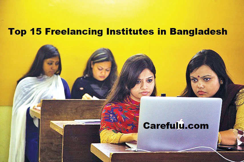 Top 15 Freelancing Institutes In Bangladesh 